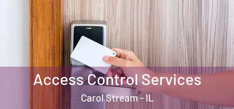 Access Control Services Carol Stream - IL