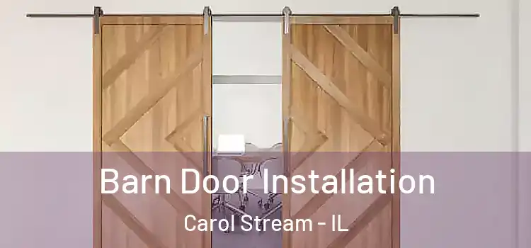 Barn Door Installation Carol Stream - IL