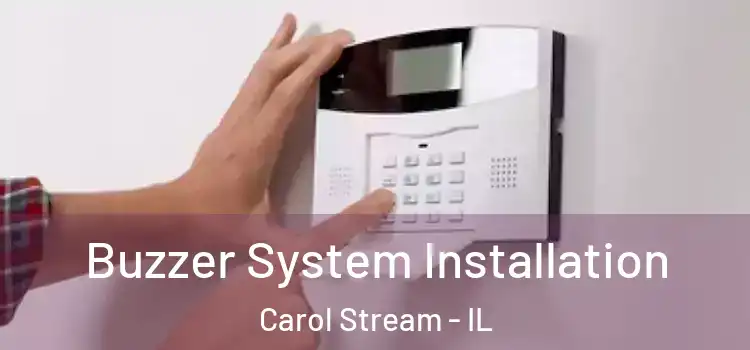 Buzzer System Installation Carol Stream - IL