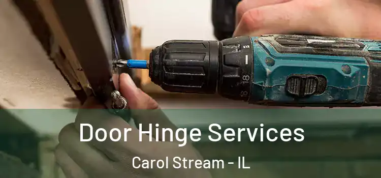 Door Hinge Services Carol Stream - IL
