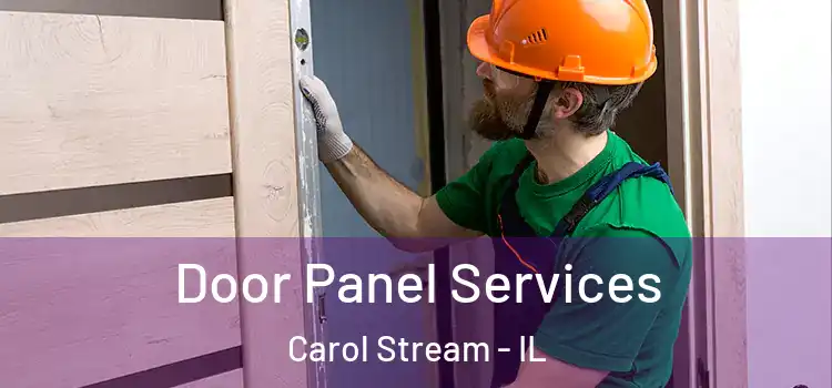 Door Panel Services Carol Stream - IL