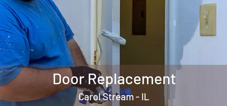 Door Replacement Carol Stream - IL