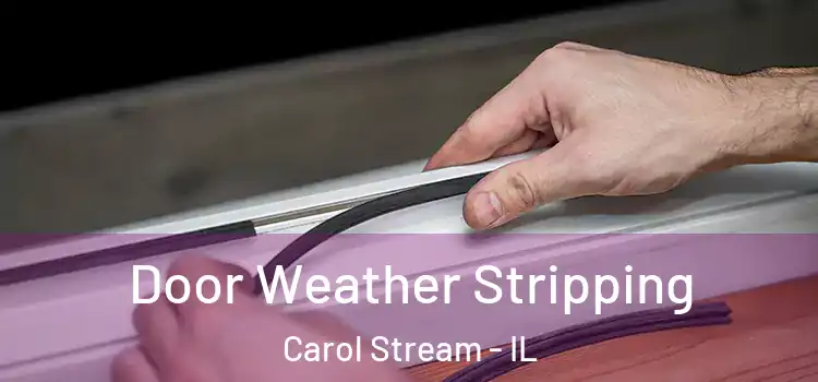 Door Weather Stripping Carol Stream - IL