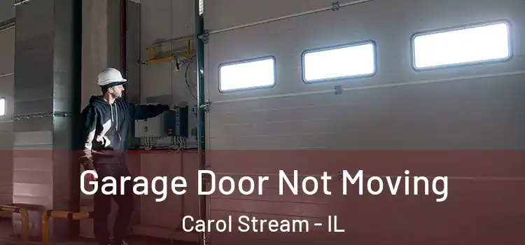  Garage Door Not Moving Carol Stream - IL