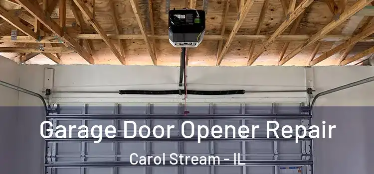  Garage Door Opener Repair Carol Stream - IL