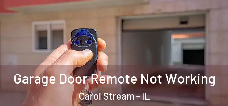  Garage Door Remote Not Working Carol Stream - IL