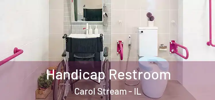Handicap Restroom Carol Stream - IL