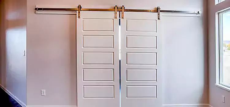 Glass Barn Door with Installation Hardware Kit Carol Stream