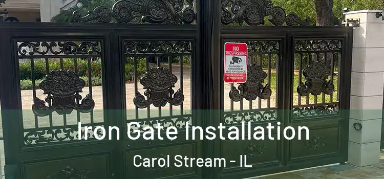 Iron Gate Installation Carol Stream - IL