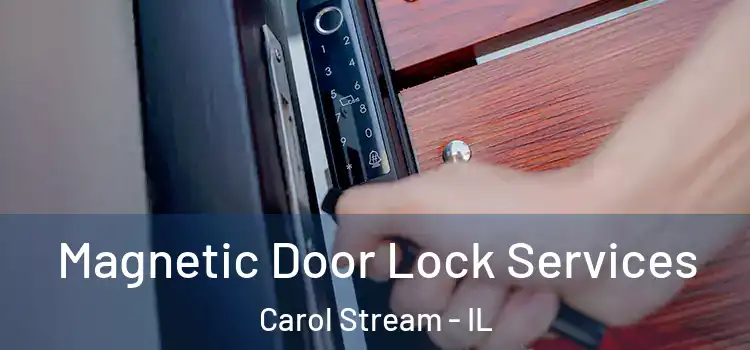 Magnetic Door Lock Services Carol Stream - IL