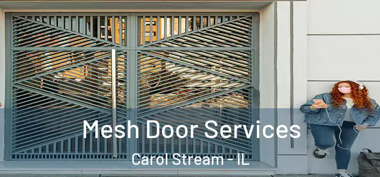 Mesh Door Services Carol Stream - IL