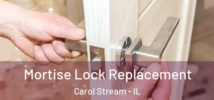 Mortise Lock Replacement Carol Stream - IL