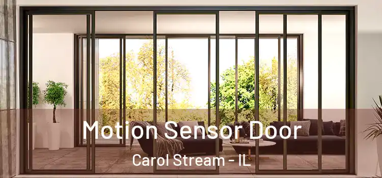 Motion Sensor Door Carol Stream - IL