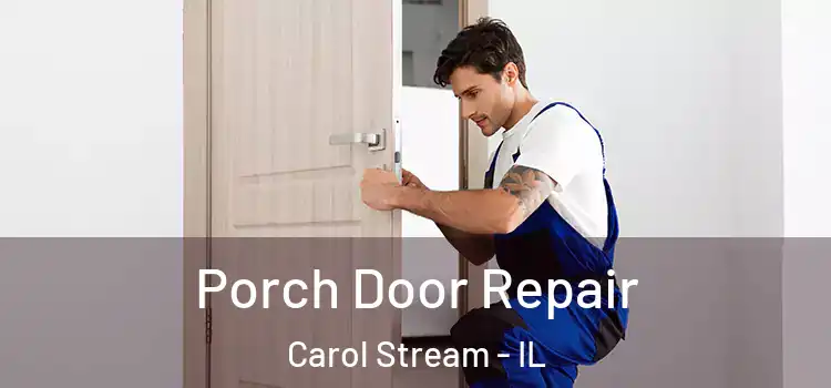  Porch Door Repair Carol Stream - IL