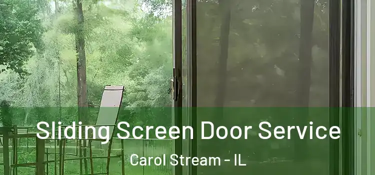 Sliding Screen Door Service Carol Stream - IL