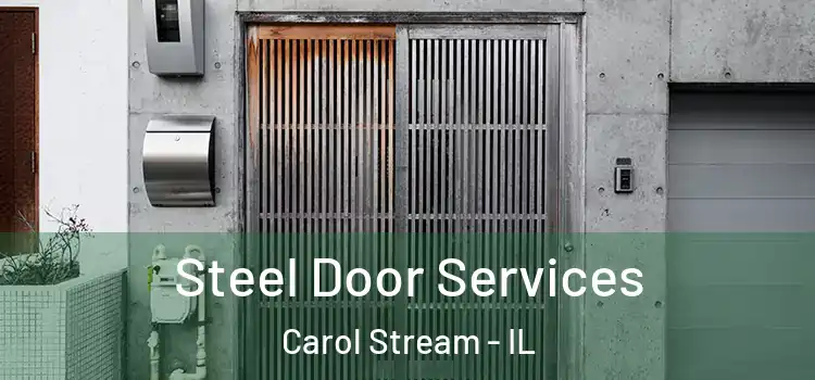Steel Door Services Carol Stream - IL